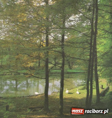 Zdjęcie w galerii na portalu naszraciborz.pl: Racibórz A.D. 1984 wiadomości z regionu