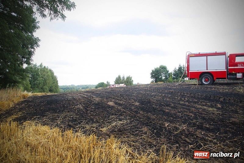 Zdjęcie w galerii na portalu naszraciborz.pl: Kolejny pożar w Rzuchowie. Paliło się ściernisko  wiadomości z regionu