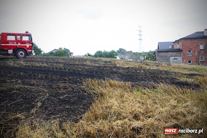 Zdjęcie w galerii na portalu naszraciborz.pl: Kolejny pożar w Rzuchowie. Paliło się ściernisko  wiadomości z regionu
