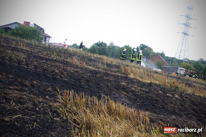Zdjęcie w galerii na portalu naszraciborz.pl: Kolejny pożar w Rzuchowie. Paliło się ściernisko  wiadomości z regionu
