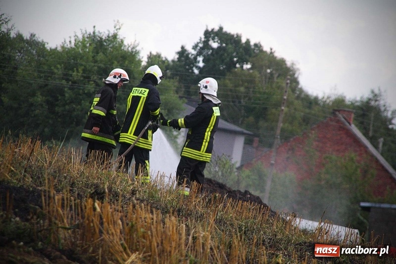 Zdjęcie w galerii na portalu naszraciborz.pl: Kolejny pożar w Rzuchowie. Paliło się ściernisko  wiadomości z regionu