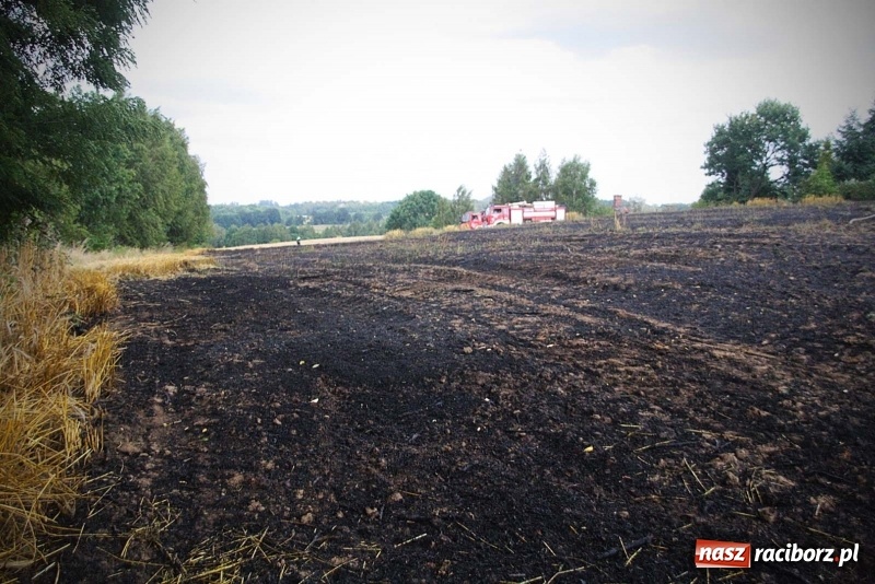 Zdjęcie w galerii na portalu naszraciborz.pl: Kolejny pożar w Rzuchowie. Paliło się ściernisko  wiadomości z regionu