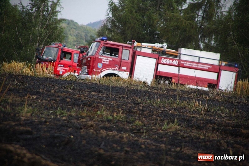 Zdjęcie w galerii na portalu naszraciborz.pl: Kolejny pożar w Rzuchowie. Paliło się ściernisko  wiadomości z regionu