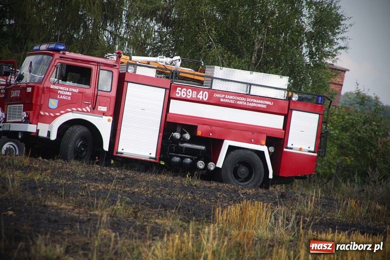 Zdjęcie w galerii na portalu naszraciborz.pl: Kolejny pożar w Rzuchowie. Paliło się ściernisko  wiadomości z regionu