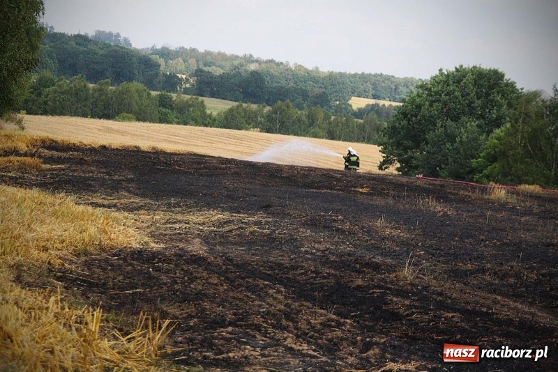 Zdjęcie w galerii na portalu naszraciborz.pl: Kolejny pożar w Rzuchowie. Paliło się ściernisko  wiadomości z regionu