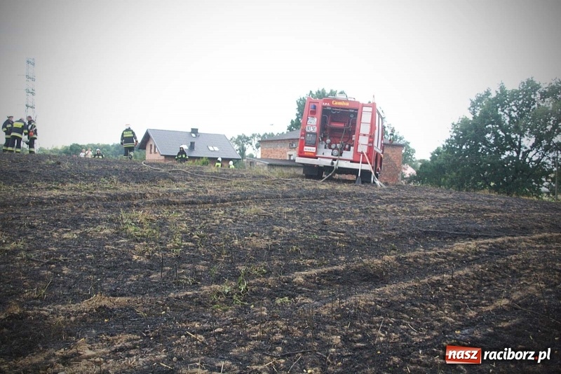 Zdjęcie w galerii na portalu naszraciborz.pl: Kolejny pożar w Rzuchowie. Paliło się ściernisko  wiadomości z regionu