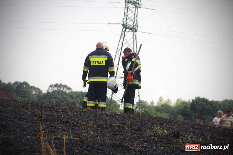 Zdjęcie w galerii na portalu naszraciborz.pl: Kolejny pożar w Rzuchowie. Paliło się ściernisko  wiadomości z regionu