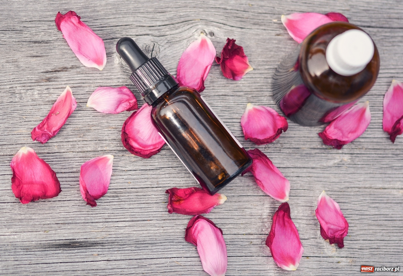 Zdjęcie w galerii na portalu naszraciborz.pl: Flakony perfum, które przyciągną Twoją uwagę! wiadomości z regionu