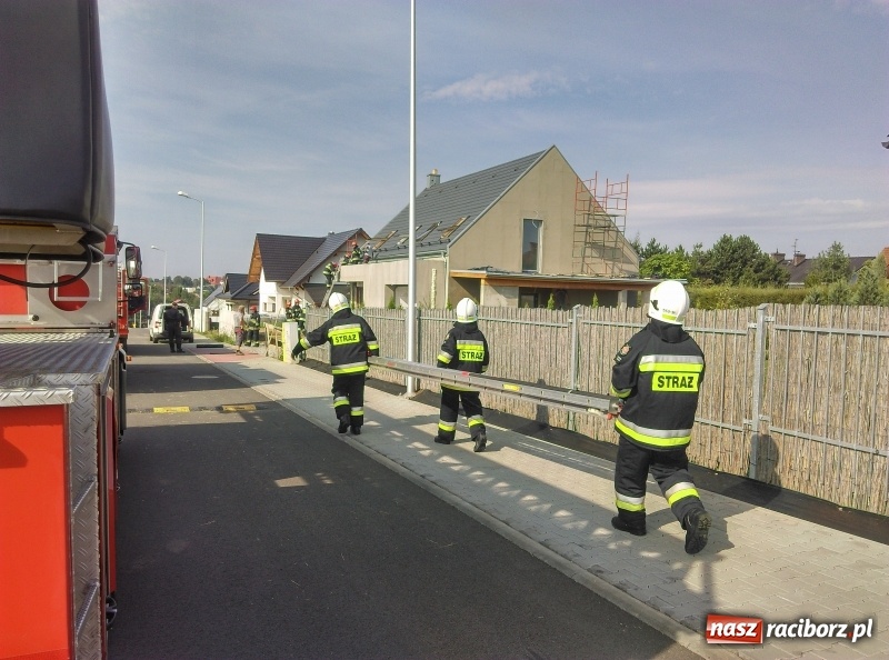 Zdjęcie w galerii na portalu naszraciborz.pl: Pożar na terenie budowy na Ocicach  wiadomości z regionu