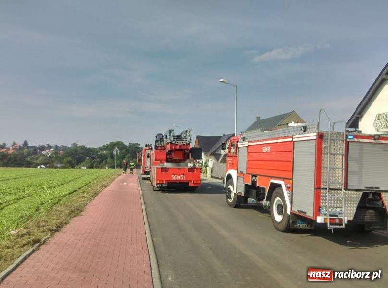 Zdjęcie w galerii na portalu naszraciborz.pl: Pożar na terenie budowy na Ocicach  wiadomości z regionu
