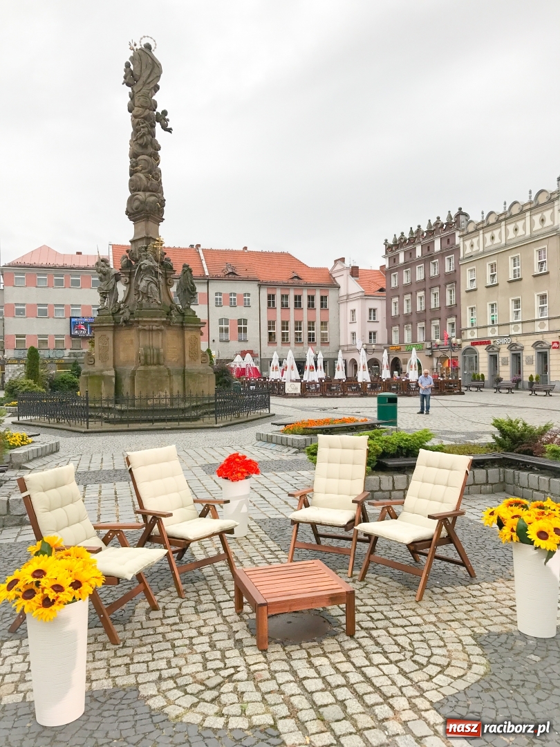 Zdjęcie w galerii na portalu naszraciborz.pl: Królestwo gotyku i słodkich smaków, czyli Racibórz na żywo w TVP Katowice  wiadomości z regionu