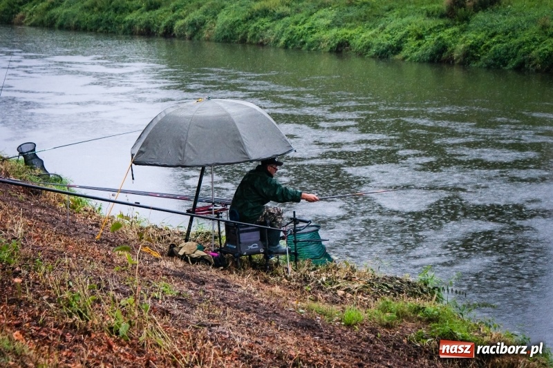Zdjęcie w galerii na portalu naszraciborz.pl: Odra 2017 - 20 lat po powodzi. Zawody wędkarskie w Raciborzu wiadomości z regionu