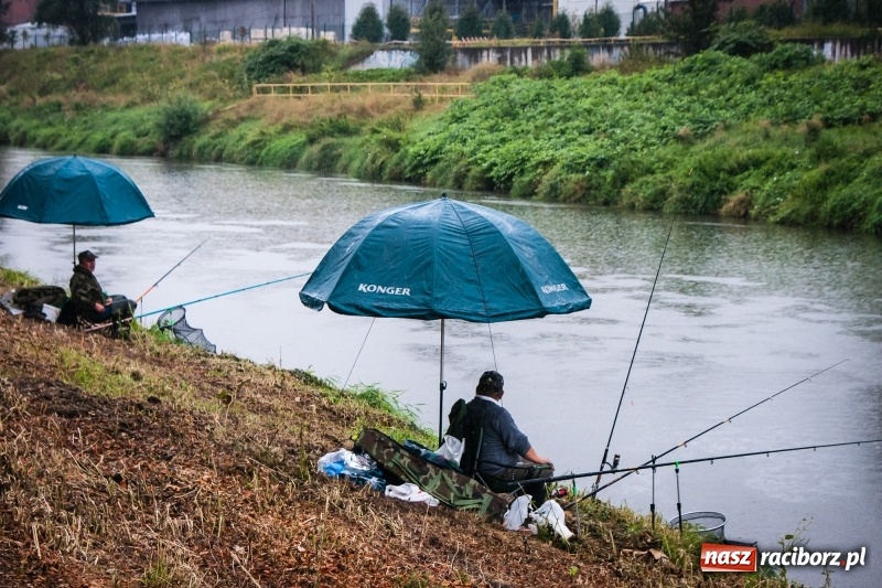 Zdjęcie w galerii na portalu naszraciborz.pl: Odra 2017 - 20 lat po powodzi. Zawody wędkarskie w Raciborzu wiadomości z regionu