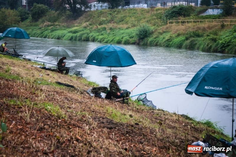 Zdjęcie w galerii na portalu naszraciborz.pl: Odra 2017 - 20 lat po powodzi. Zawody wędkarskie w Raciborzu wiadomości z regionu