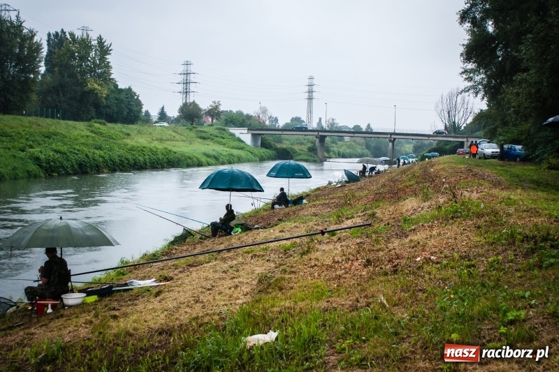Zdjęcie w galerii na portalu naszraciborz.pl: Odra 2017 - 20 lat po powodzi. Zawody wędkarskie w Raciborzu wiadomości z regionu