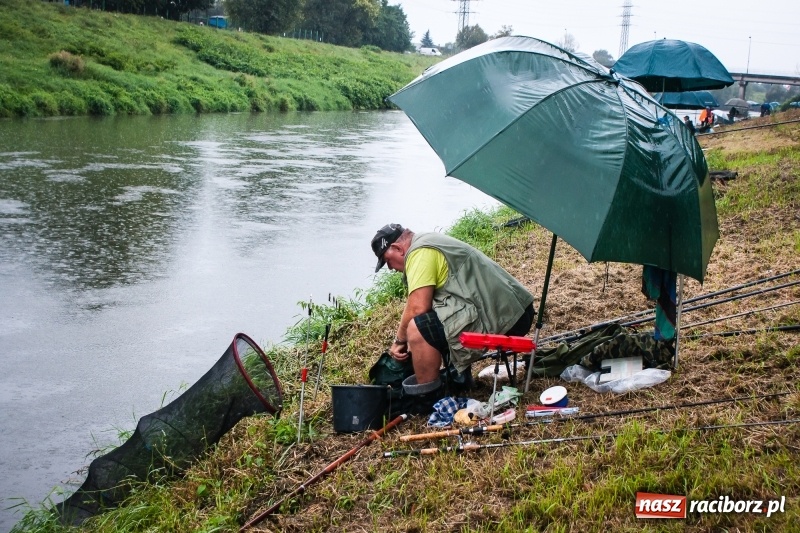 Zdjęcie w galerii na portalu naszraciborz.pl: Odra 2017 - 20 lat po powodzi. Zawody wędkarskie w Raciborzu wiadomości z regionu