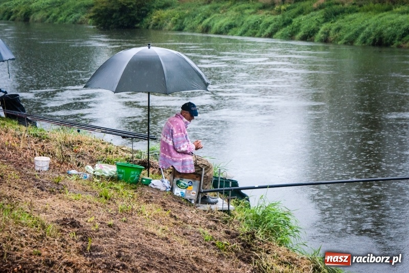 Zdjęcie w galerii na portalu naszraciborz.pl: Odra 2017 - 20 lat po powodzi. Zawody wędkarskie w Raciborzu wiadomości z regionu