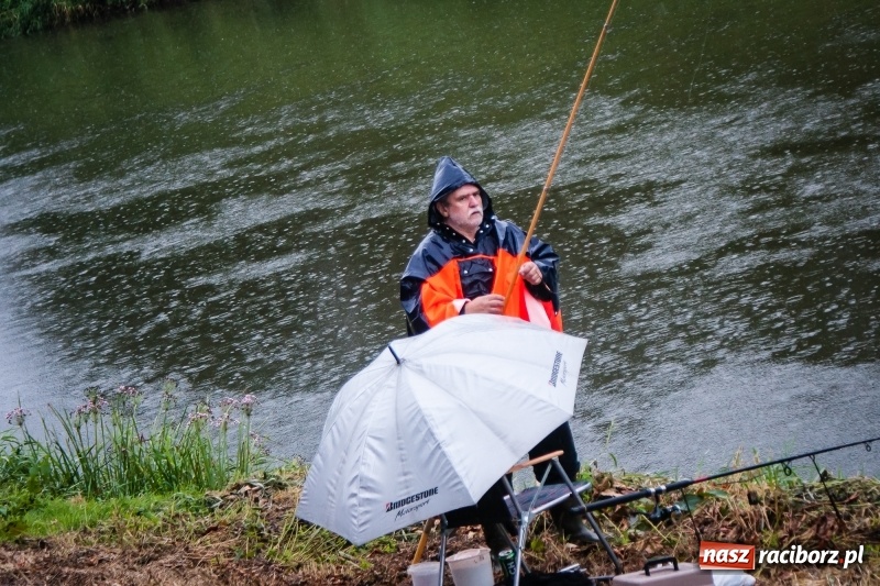 Zdjęcie w galerii na portalu naszraciborz.pl: Odra 2017 - 20 lat po powodzi. Zawody wędkarskie w Raciborzu wiadomości z regionu