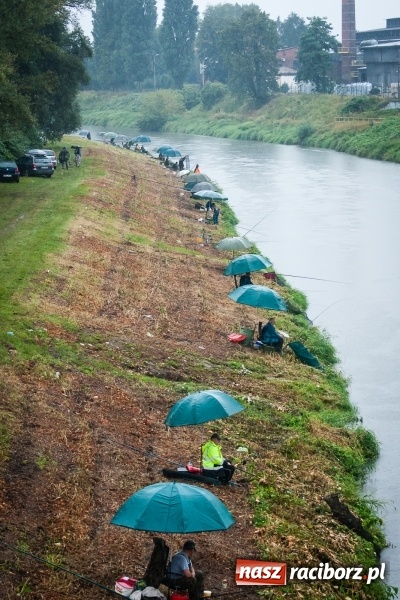 Zdjęcie w galerii na portalu naszraciborz.pl: Odra 2017 - 20 lat po powodzi. Zawody wędkarskie w Raciborzu wiadomości z regionu