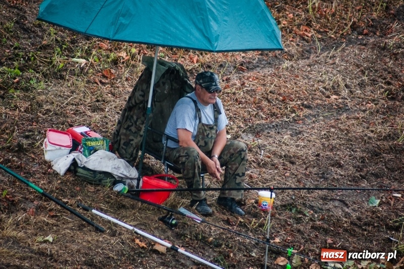 Zdjęcie w galerii na portalu naszraciborz.pl: Odra 2017 - 20 lat po powodzi. Zawody wędkarskie w Raciborzu wiadomości z regionu