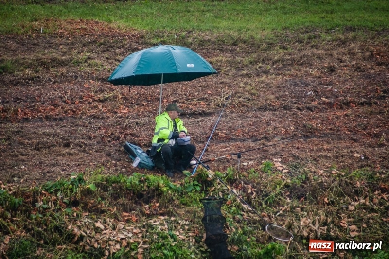 Zdjęcie w galerii na portalu naszraciborz.pl: Odra 2017 - 20 lat po powodzi. Zawody wędkarskie w Raciborzu wiadomości z regionu