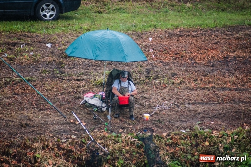 Zdjęcie w galerii na portalu naszraciborz.pl: Odra 2017 - 20 lat po powodzi. Zawody wędkarskie w Raciborzu wiadomości z regionu