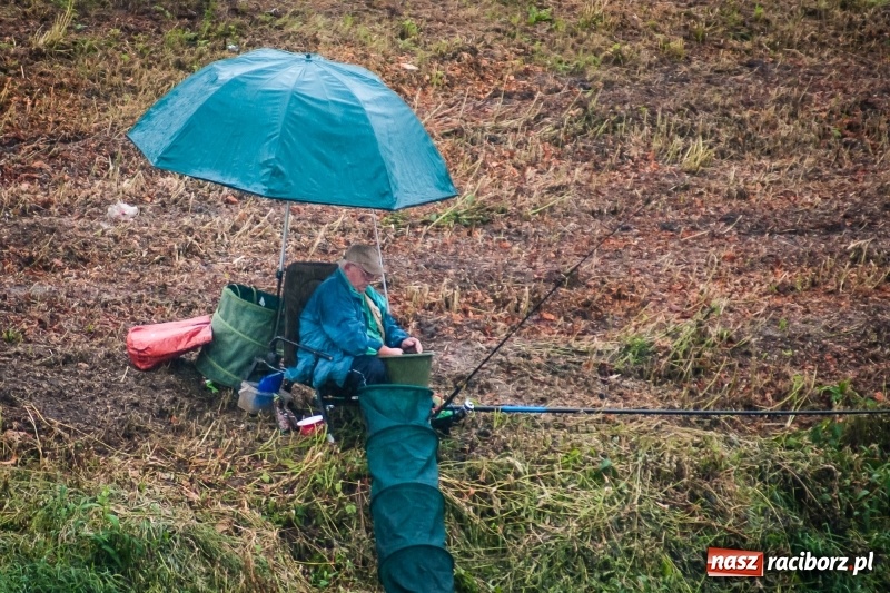 Zdjęcie w galerii na portalu naszraciborz.pl: Odra 2017 - 20 lat po powodzi. Zawody wędkarskie w Raciborzu wiadomości z regionu