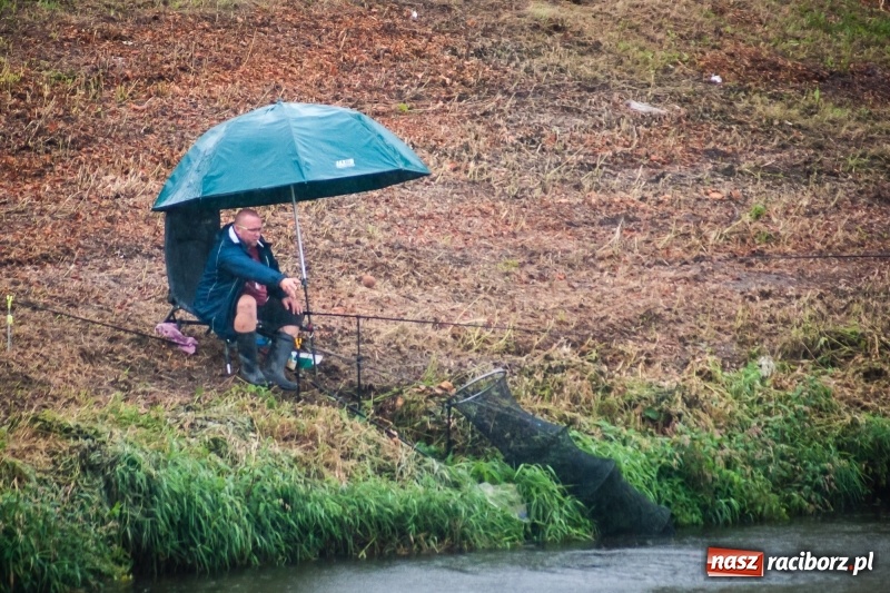Zdjęcie w galerii na portalu naszraciborz.pl: Odra 2017 - 20 lat po powodzi. Zawody wędkarskie w Raciborzu wiadomości z regionu