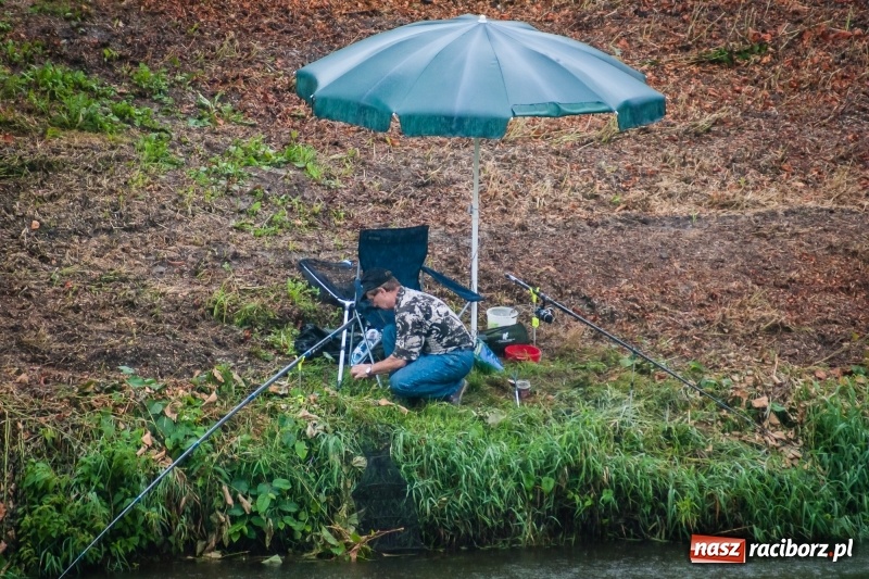 Zdjęcie w galerii na portalu naszraciborz.pl: Odra 2017 - 20 lat po powodzi. Zawody wędkarskie w Raciborzu wiadomości z regionu