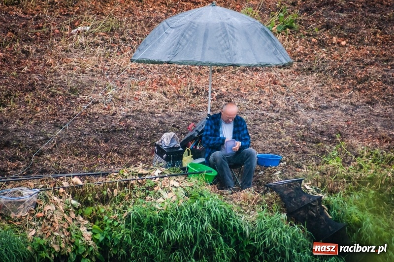 Zdjęcie w galerii na portalu naszraciborz.pl: Odra 2017 - 20 lat po powodzi. Zawody wędkarskie w Raciborzu wiadomości z regionu