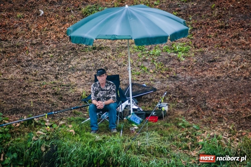 Zdjęcie w galerii na portalu naszraciborz.pl: Odra 2017 - 20 lat po powodzi. Zawody wędkarskie w Raciborzu wiadomości z regionu