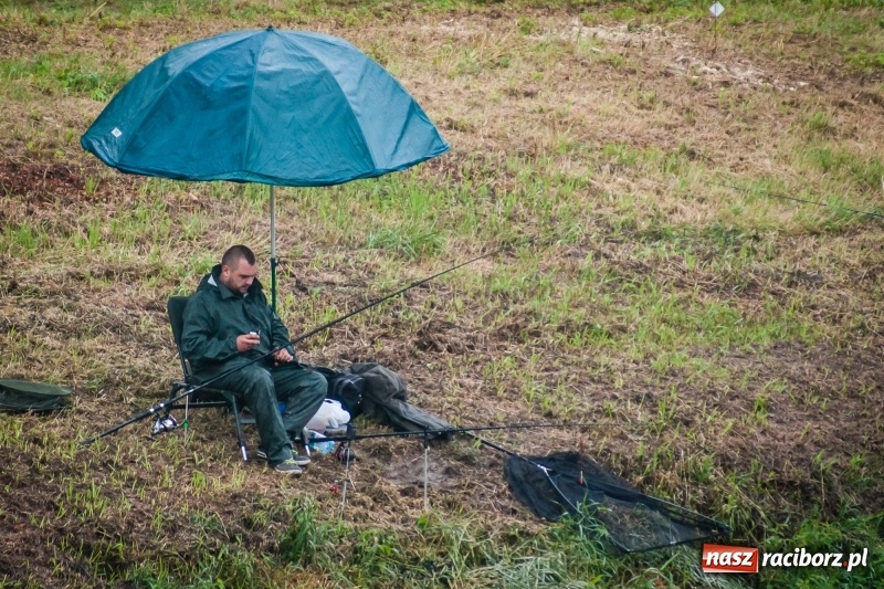 Zdjęcie w galerii na portalu naszraciborz.pl: Odra 2017 - 20 lat po powodzi. Zawody wędkarskie w Raciborzu wiadomości z regionu