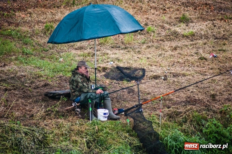 Zdjęcie w galerii na portalu naszraciborz.pl: Odra 2017 - 20 lat po powodzi. Zawody wędkarskie w Raciborzu wiadomości z regionu