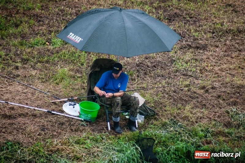 Zdjęcie w galerii na portalu naszraciborz.pl: Odra 2017 - 20 lat po powodzi. Zawody wędkarskie w Raciborzu wiadomości z regionu