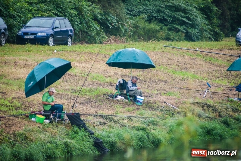 Zdjęcie w galerii na portalu naszraciborz.pl: Odra 2017 - 20 lat po powodzi. Zawody wędkarskie w Raciborzu wiadomości z regionu
