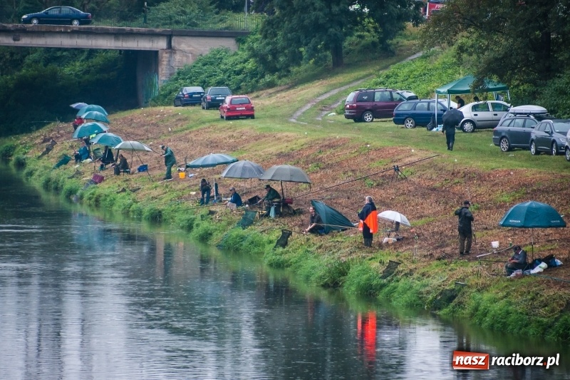 Zdjęcie w galerii na portalu naszraciborz.pl: Odra 2017 - 20 lat po powodzi. Zawody wędkarskie w Raciborzu wiadomości z regionu
