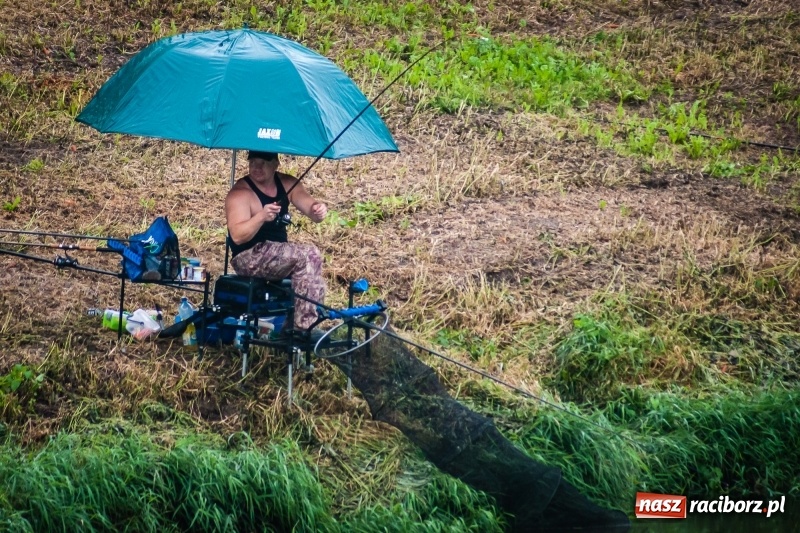 Zdjęcie w galerii na portalu naszraciborz.pl: Odra 2017 - 20 lat po powodzi. Zawody wędkarskie w Raciborzu wiadomości z regionu
