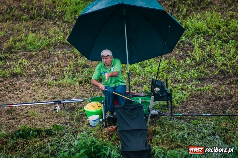 Zdjęcie w galerii na portalu naszraciborz.pl: Odra 2017 - 20 lat po powodzi. Zawody wędkarskie w Raciborzu wiadomości z regionu