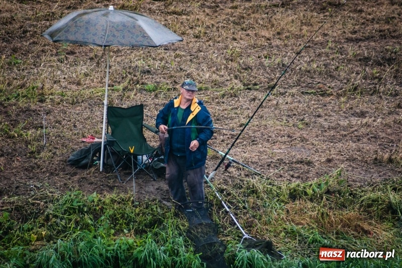 Zdjęcie w galerii na portalu naszraciborz.pl: Odra 2017 - 20 lat po powodzi. Zawody wędkarskie w Raciborzu wiadomości z regionu