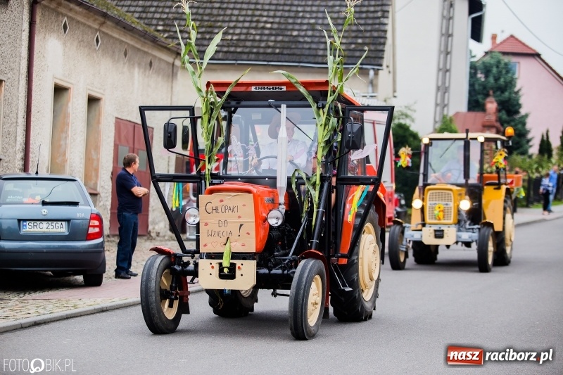 Zdjęcie w galerii na portalu naszraciborz.pl: Barwny korowód dożynkowy przeszedł ulicami Bolesławia wiadomości z regionu