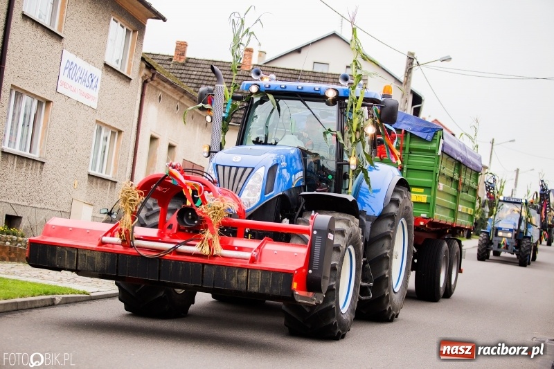 Zdjęcie w galerii na portalu naszraciborz.pl: Barwny korowód dożynkowy przeszedł ulicami Bolesławia wiadomości z regionu