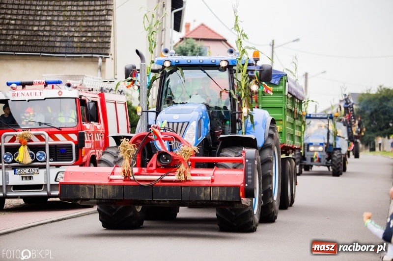 Zdjęcie w galerii na portalu naszraciborz.pl: Barwny korowód dożynkowy przeszedł ulicami Bolesławia wiadomości z regionu