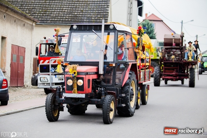 Zdjęcie w galerii na portalu naszraciborz.pl: Barwny korowód dożynkowy przeszedł ulicami Bolesławia wiadomości z regionu