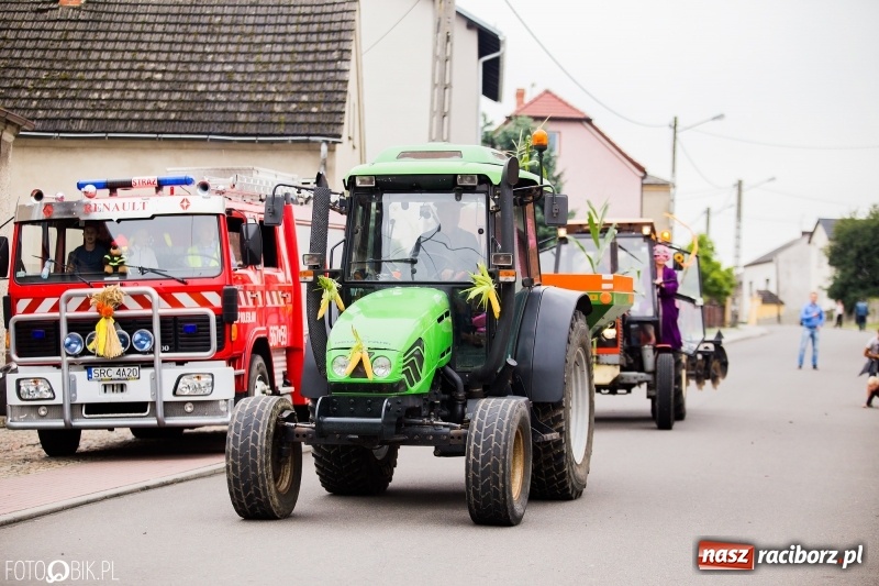 Zdjęcie w galerii na portalu naszraciborz.pl: Barwny korowód dożynkowy przeszedł ulicami Bolesławia wiadomości z regionu