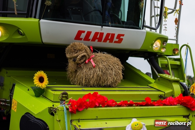 Zdjęcie w galerii na portalu naszraciborz.pl: Mąż rolnik poszukiwany, czyli kolorowe dożynki w Makowie wiadomości z regionu