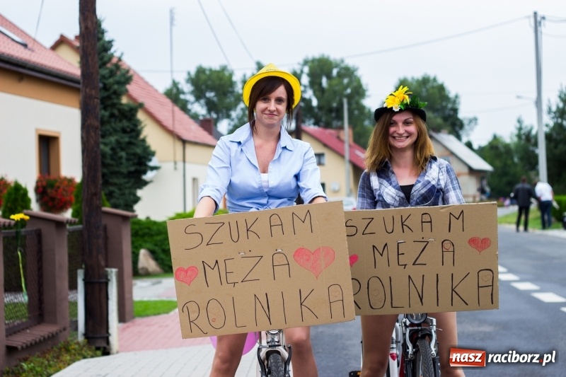 Zdjęcie w galerii na portalu naszraciborz.pl: Mąż rolnik poszukiwany, czyli kolorowe dożynki w Makowie wiadomości z regionu