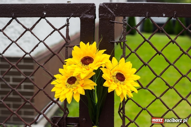 Zdjęcie w galerii na portalu naszraciborz.pl: Mąż rolnik poszukiwany, czyli kolorowe dożynki w Makowie wiadomości z regionu