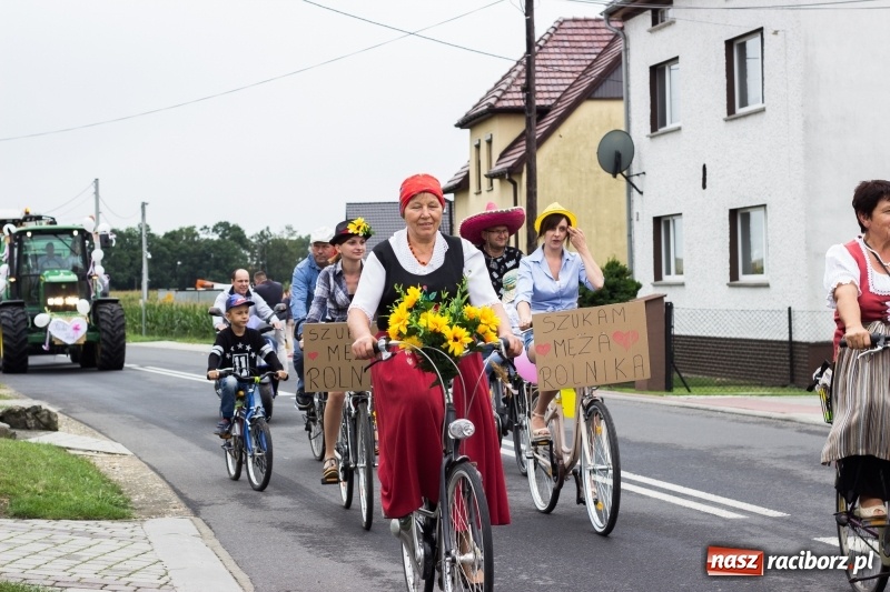Zdjęcie w galerii na portalu naszraciborz.pl: Mąż rolnik poszukiwany, czyli kolorowe dożynki w Makowie wiadomości z regionu