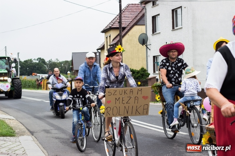 Zdjęcie w galerii na portalu naszraciborz.pl: Mąż rolnik poszukiwany, czyli kolorowe dożynki w Makowie wiadomości z regionu