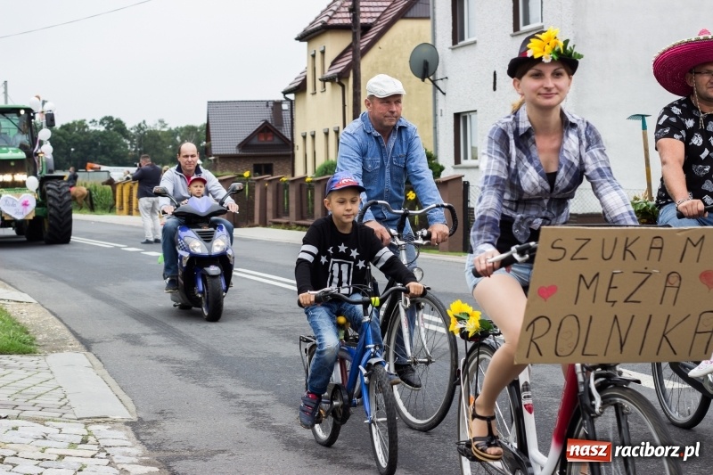 Zdjęcie w galerii na portalu naszraciborz.pl: Mąż rolnik poszukiwany, czyli kolorowe dożynki w Makowie wiadomości z regionu